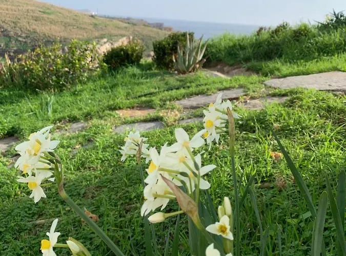 Elefthia Syros Exclusive